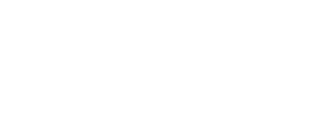 Bressan Centro Automotivo